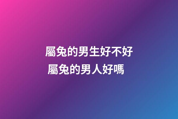 屬兔的男生好不好 屬兔的男人好嗎-第1張-觀點-玄機派
